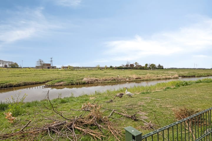 Foto 36 van Zoutgras 17