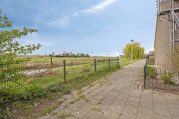 Foto 37 van Zoutgras 17