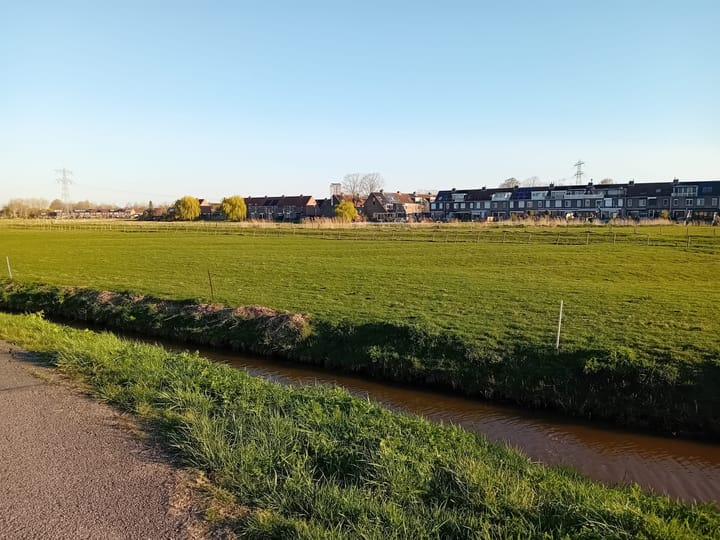 Foto 38 van Zoutgras 17