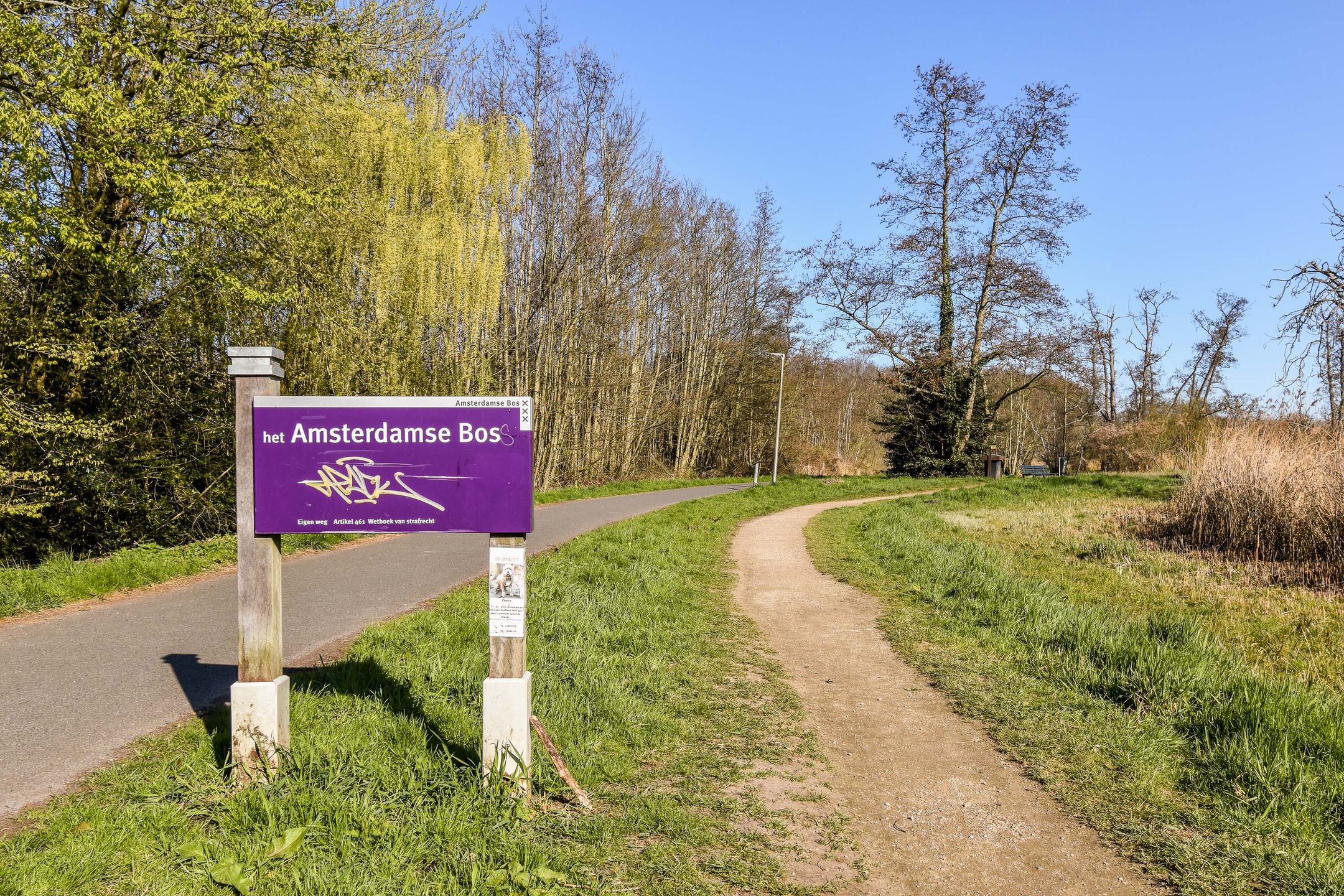 Photo 33 of Van Koetsveldstraat 4