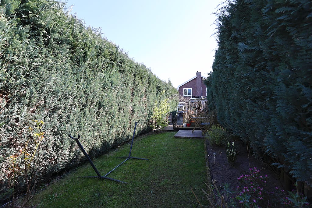 Foto 26 van Gronausestraat 56