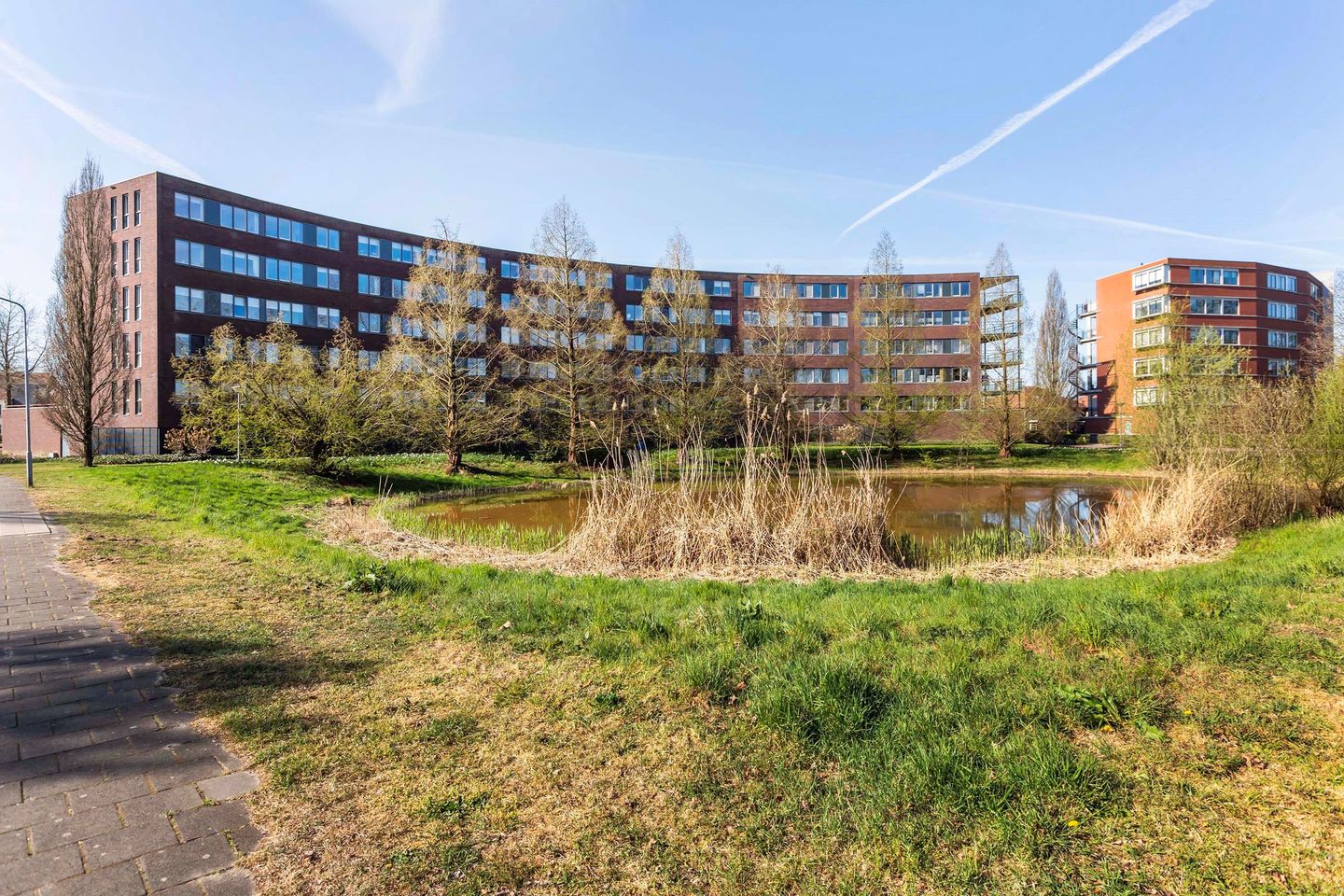Photo 29 of Oldenallerhout 14