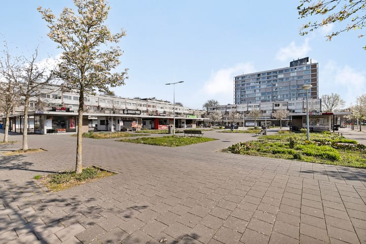 Foto 20 van Pieter Calandlaan 313