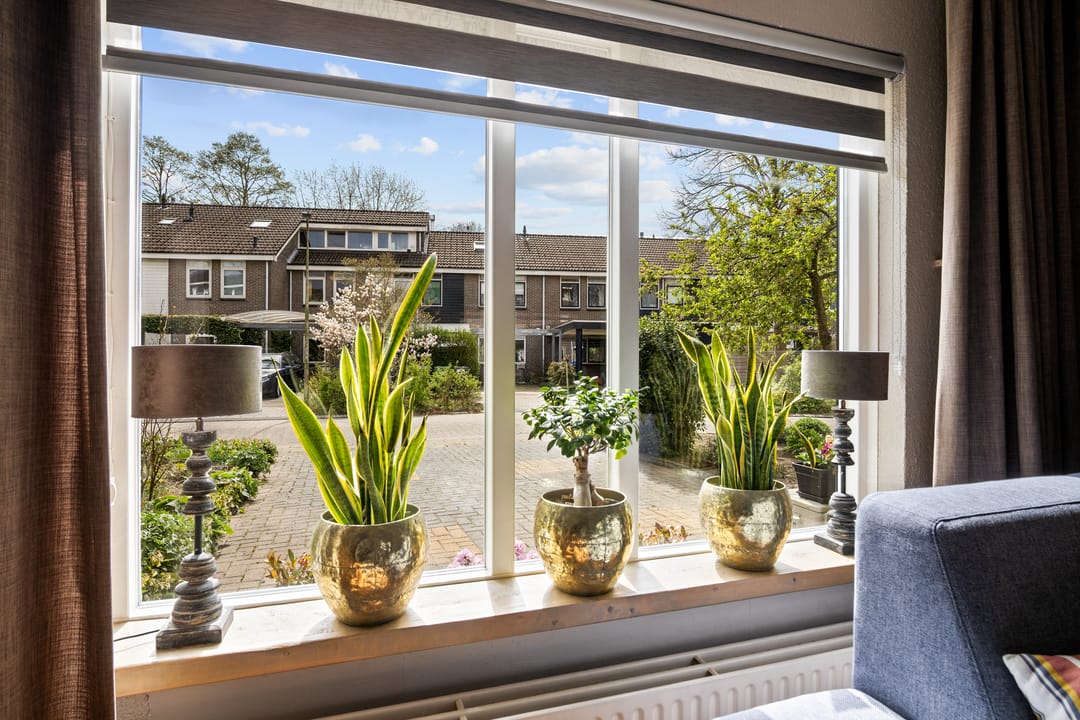 Foto 8 van Woltingepad 10