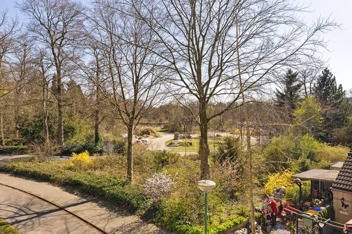 Foto 29 van Burgemeester Fabiuspark 137