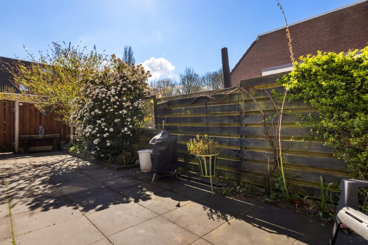 Foto 16 van Maanzaaderf 15