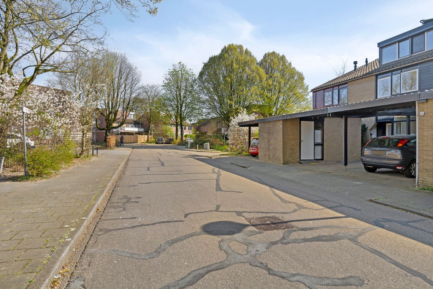 Foto 5 van Tarthorst 303