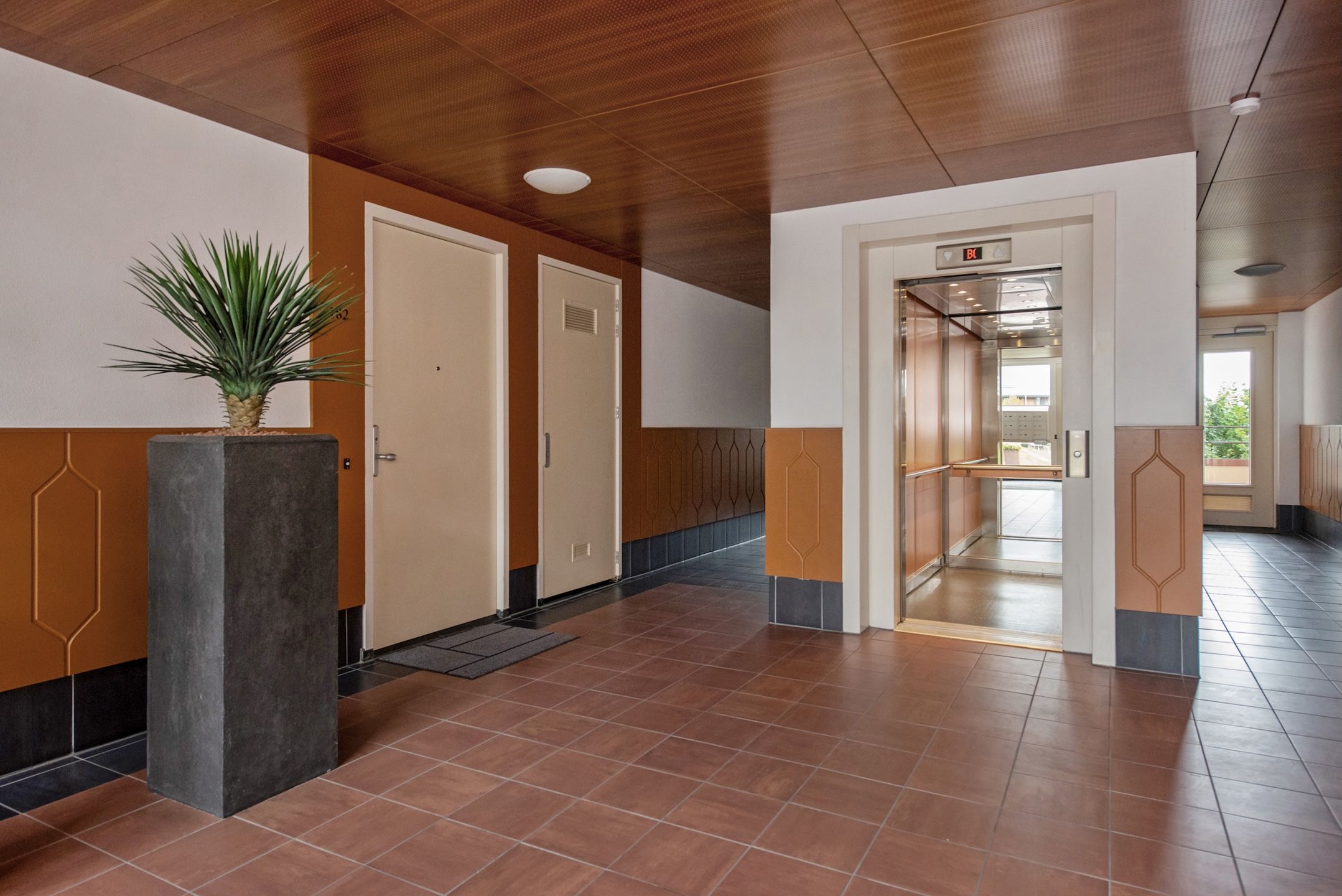 Foto 42 van Amazonestroom 182