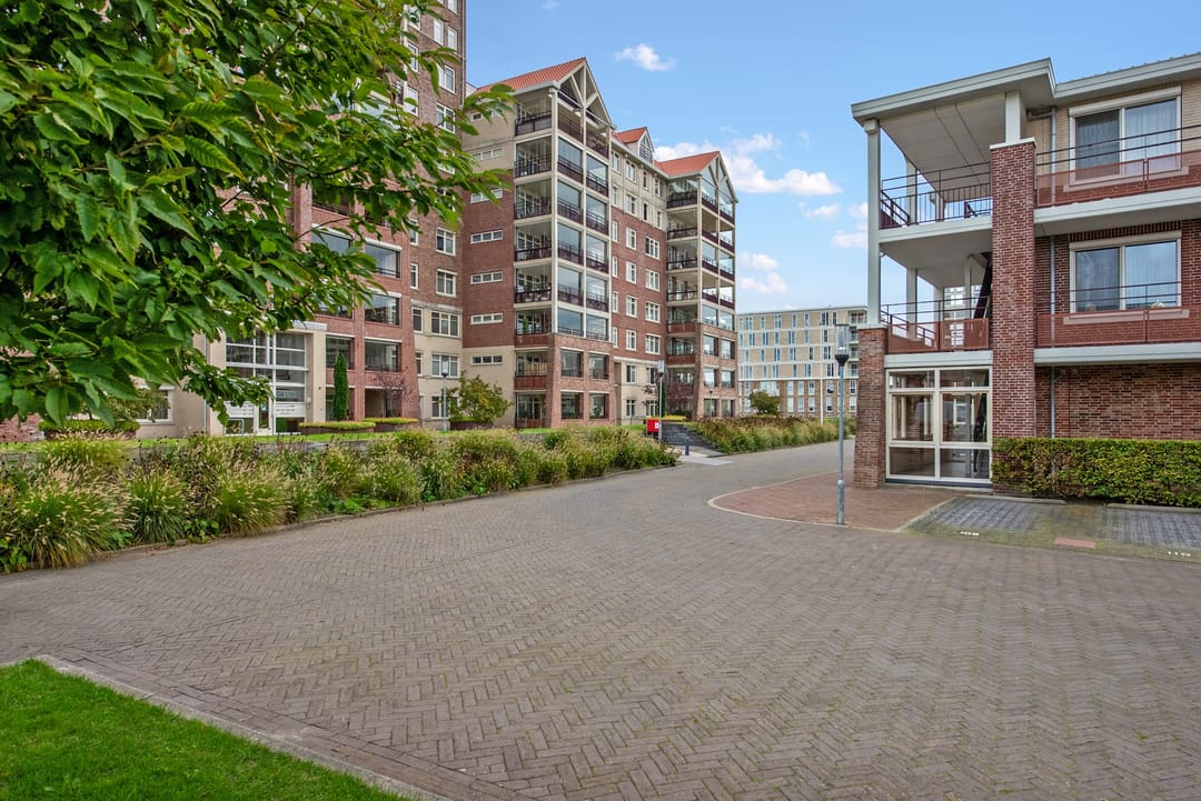 Foto 47 van Amazonestroom 182