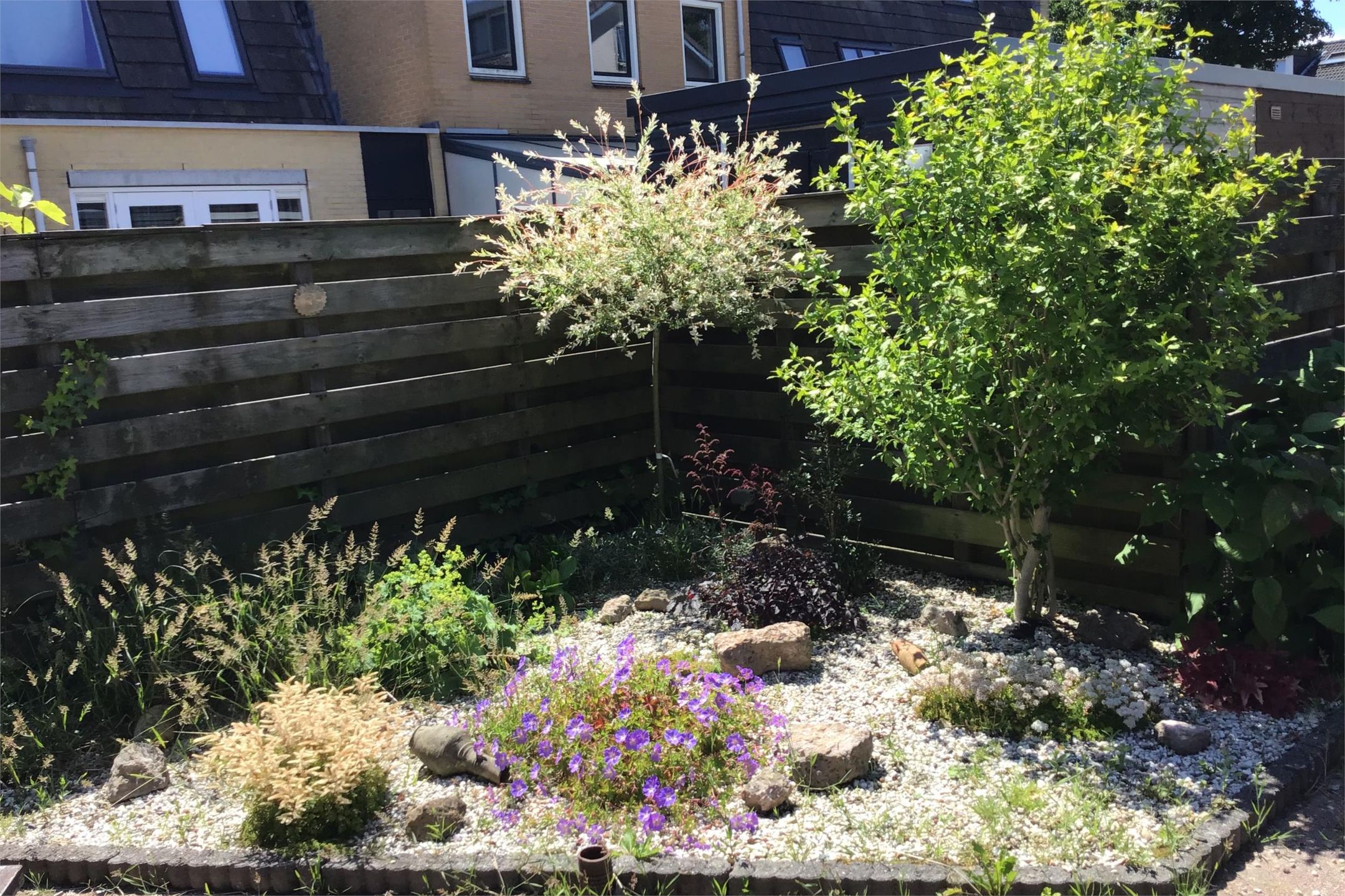 Foto 27 van West-Frieslandsingel 74