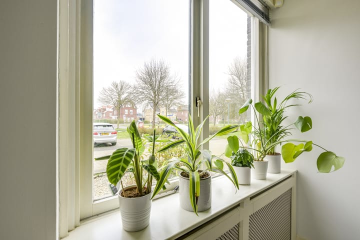 Foto 18 van Noorderbreedte 26