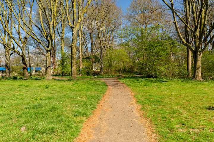 Foto 27 van Heimerstein 50