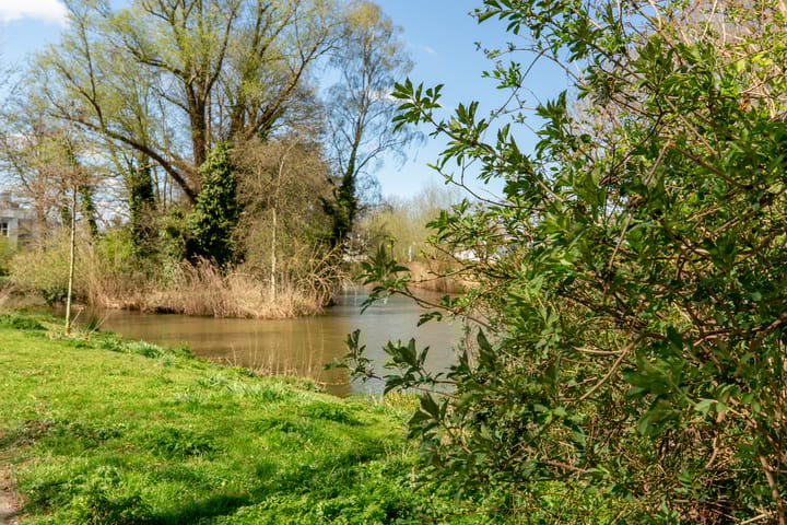 Foto 29 van Heimerstein 50