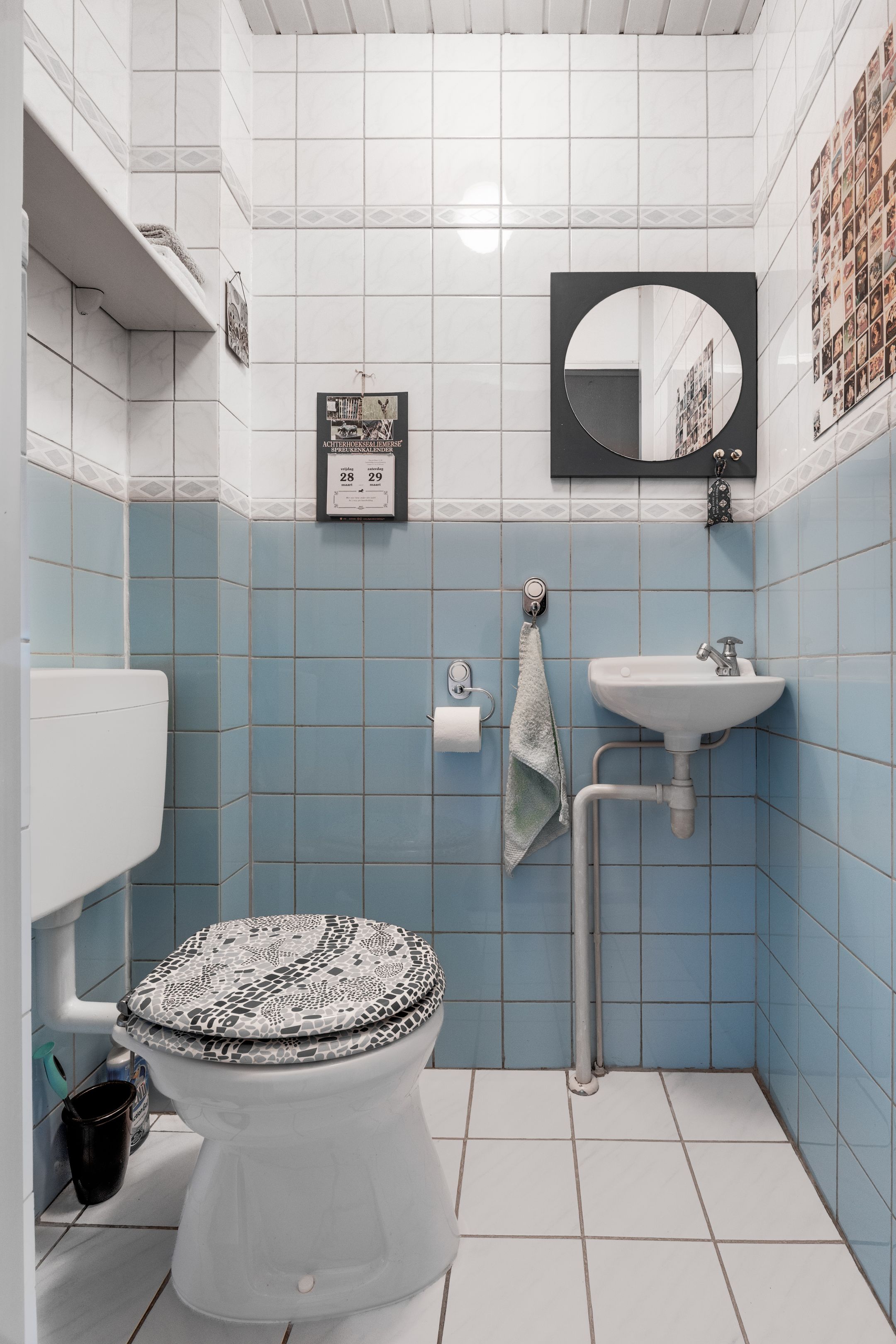 Photo 12 of Vogelwaarde 55