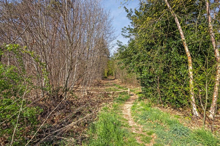 Photo 37 of Vlaskuilseweg 27