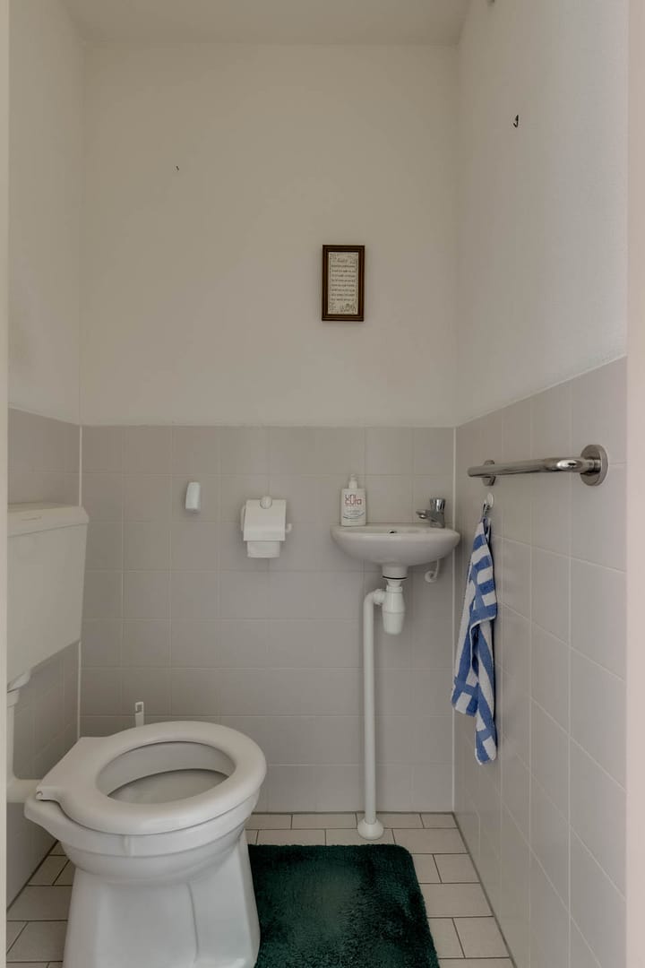 Foto 8 van Waterhoen 10