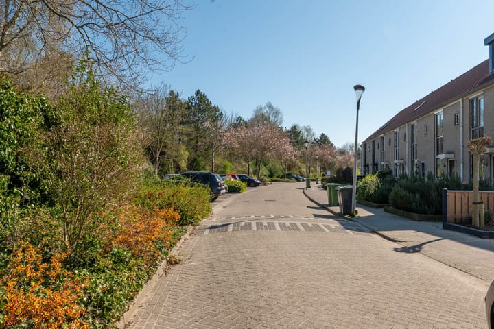 Foto 43 van Waterhoen 10