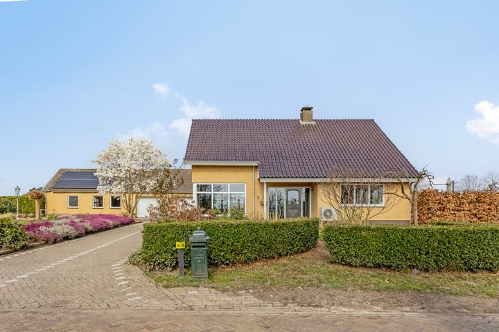 undefined main image