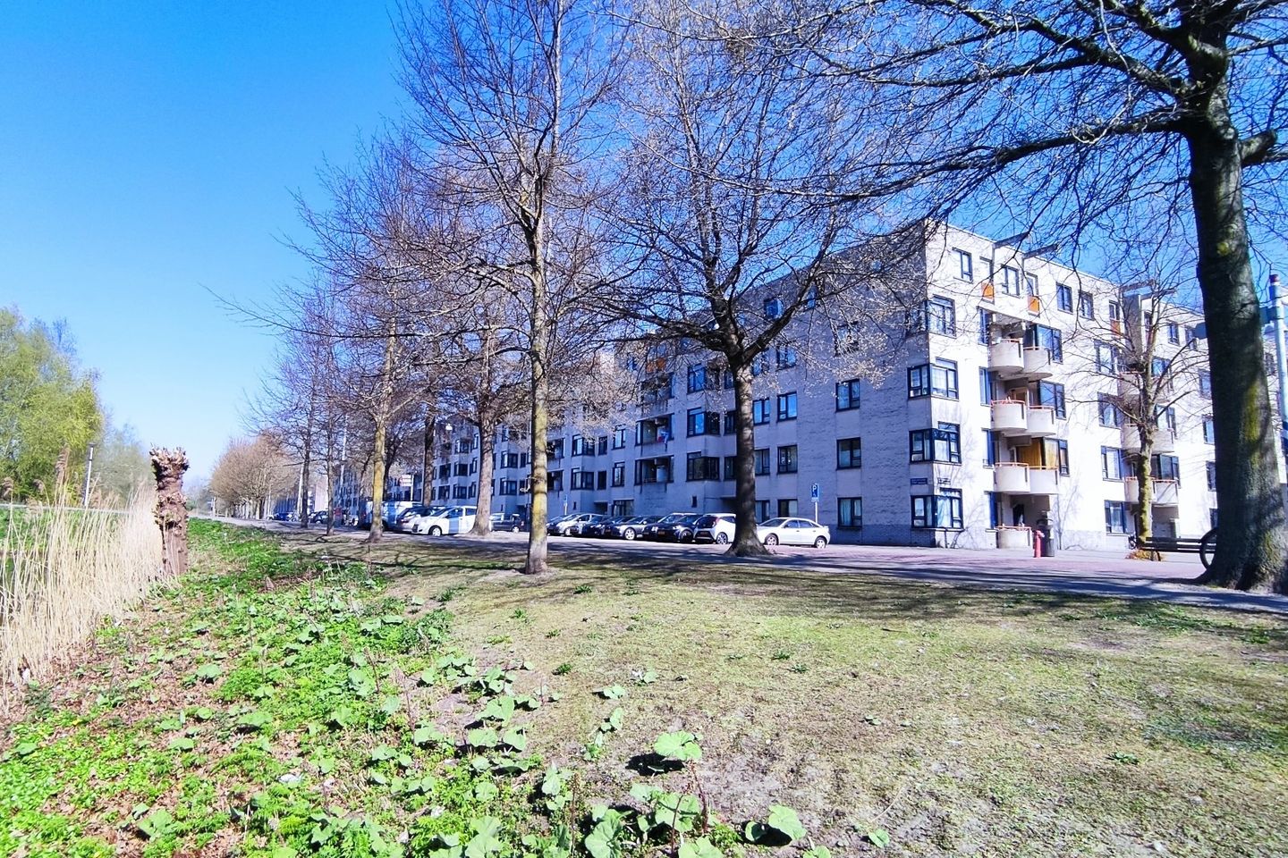 Foto 19 van Boris Pasternakstraat 409