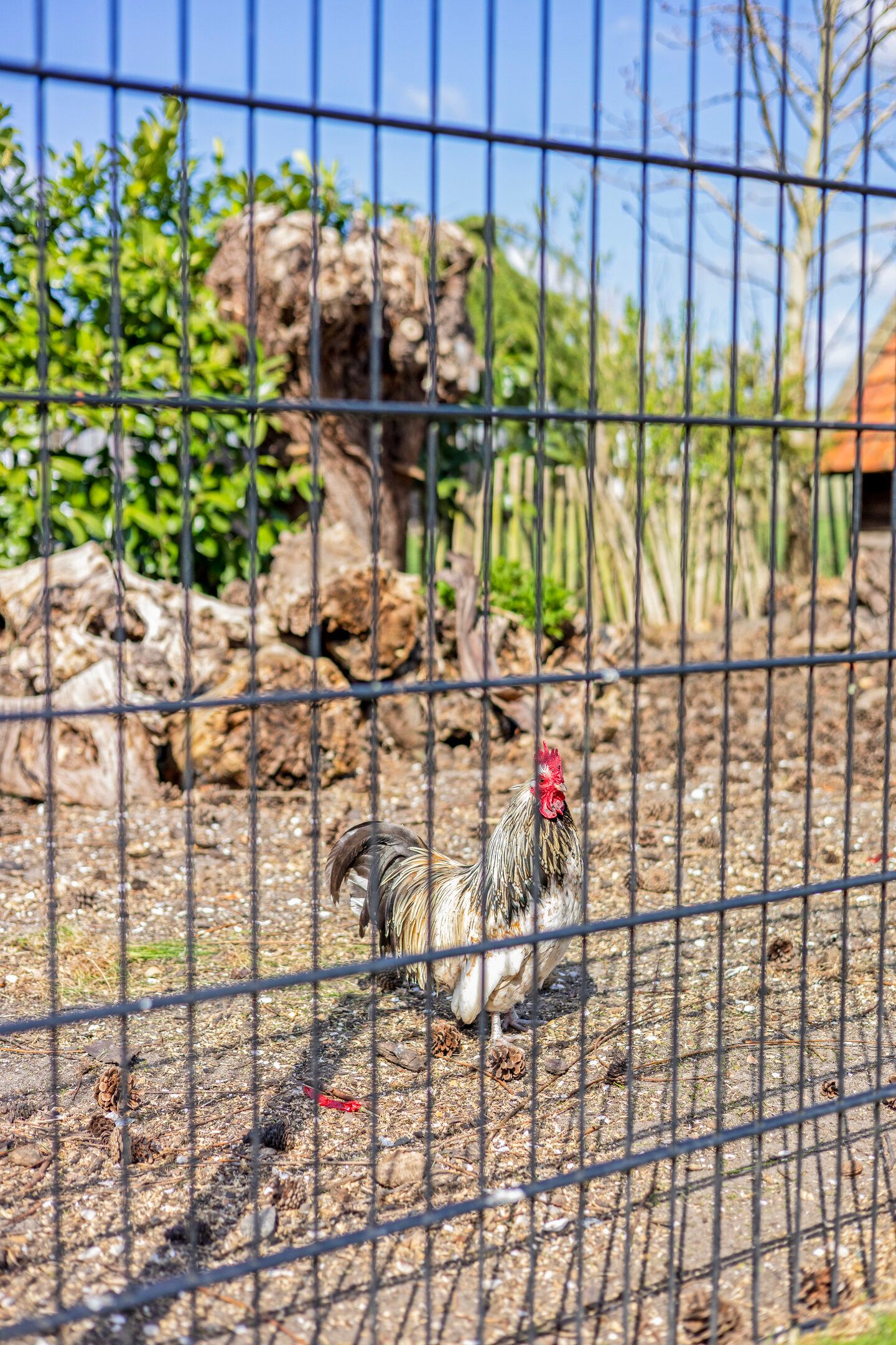 Foto 55 van Noordersingel 76