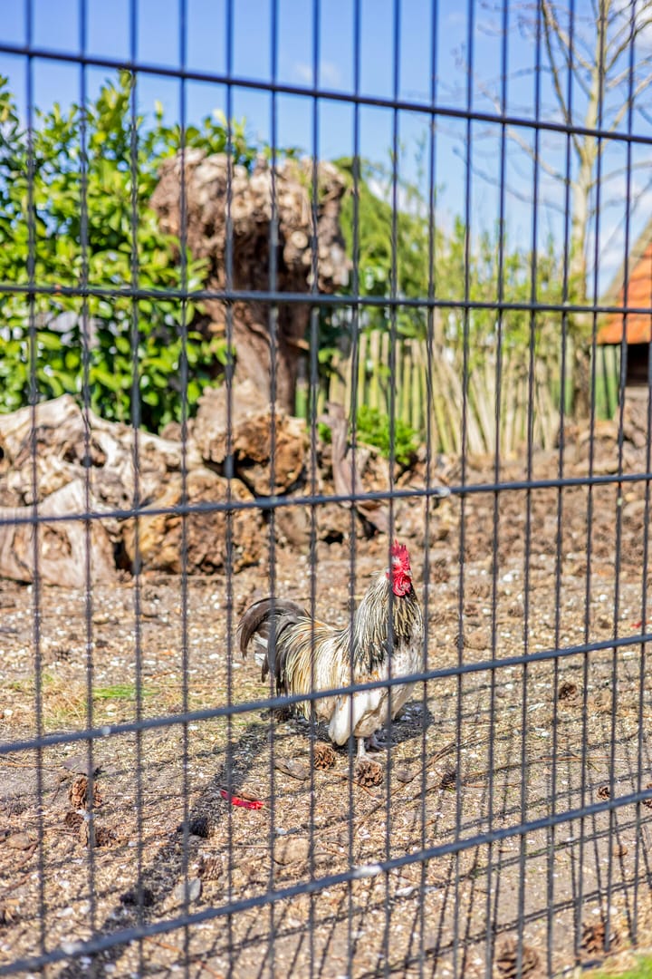 Photo 55 of Noordersingel 76