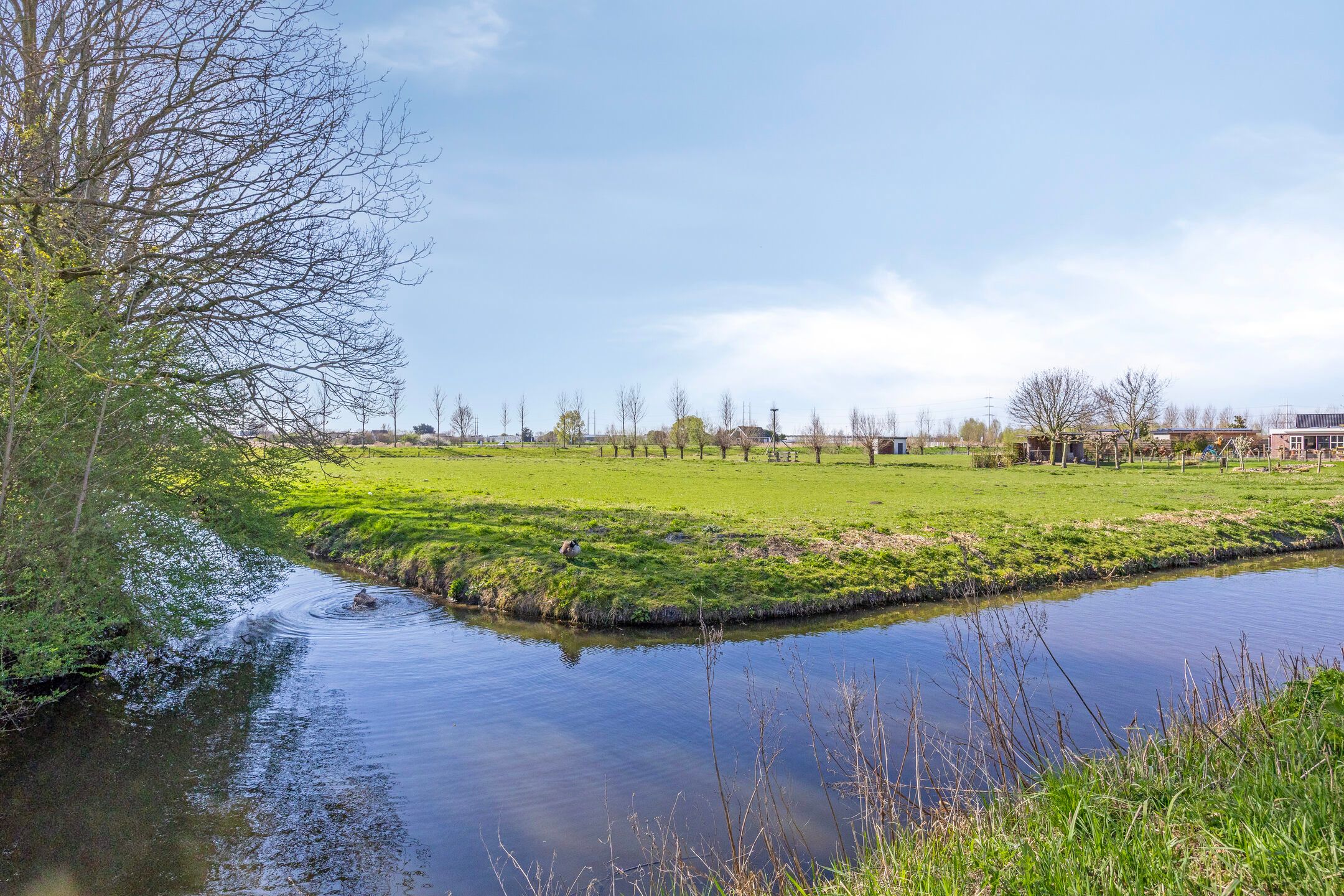 Foto 75 van Noordersingel 76