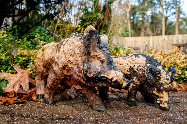 Foto 55 van Elspeterweg 86