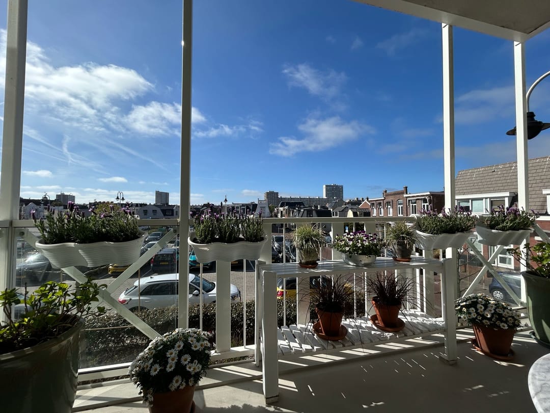 Foto 16 van Prinsesseweg 11