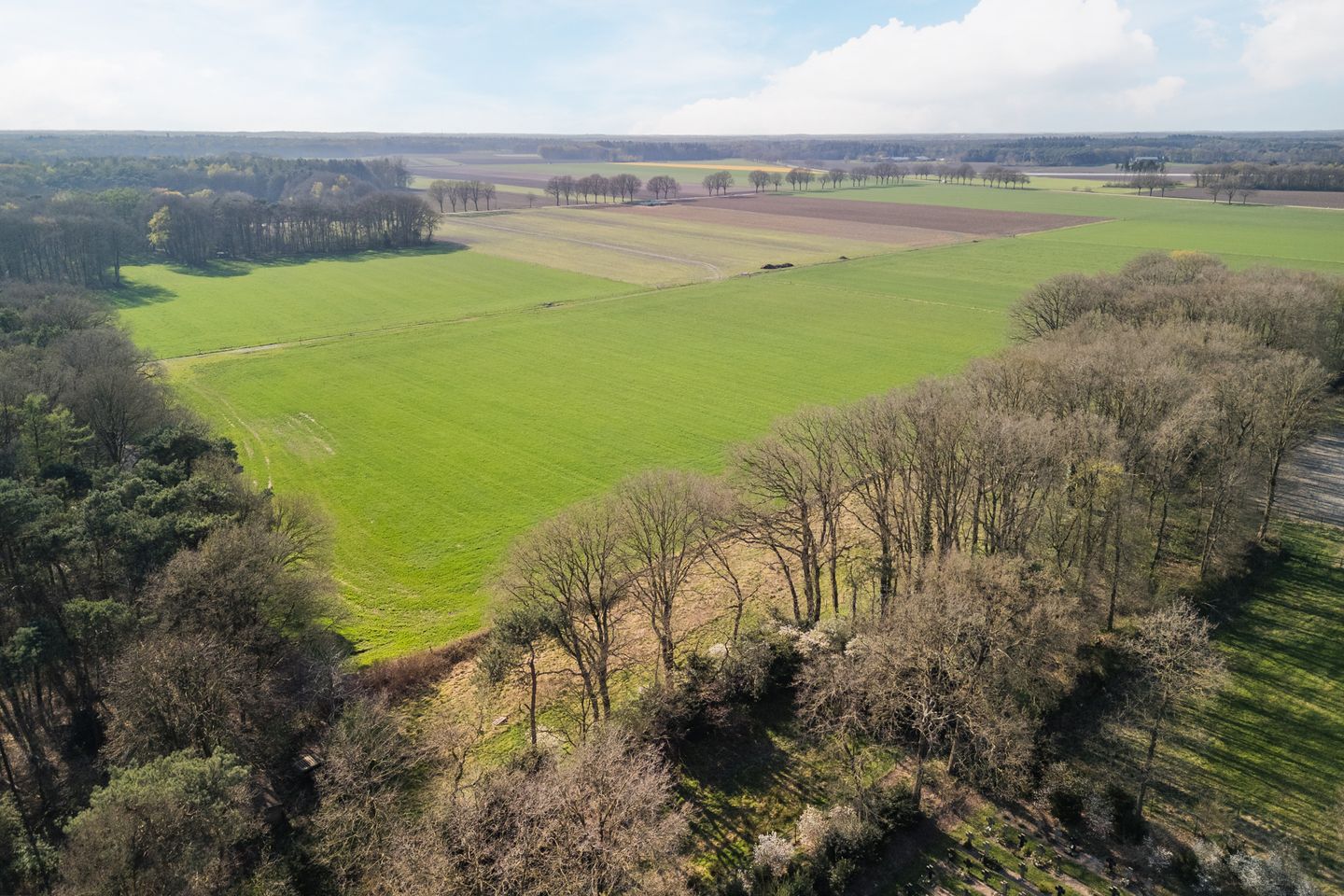 Foto 50 van Aarperstraat 23