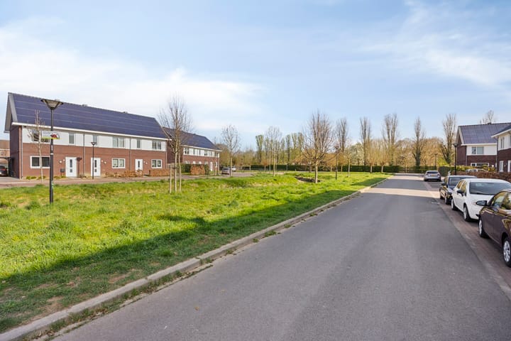 Foto 30 van Watermunt 3