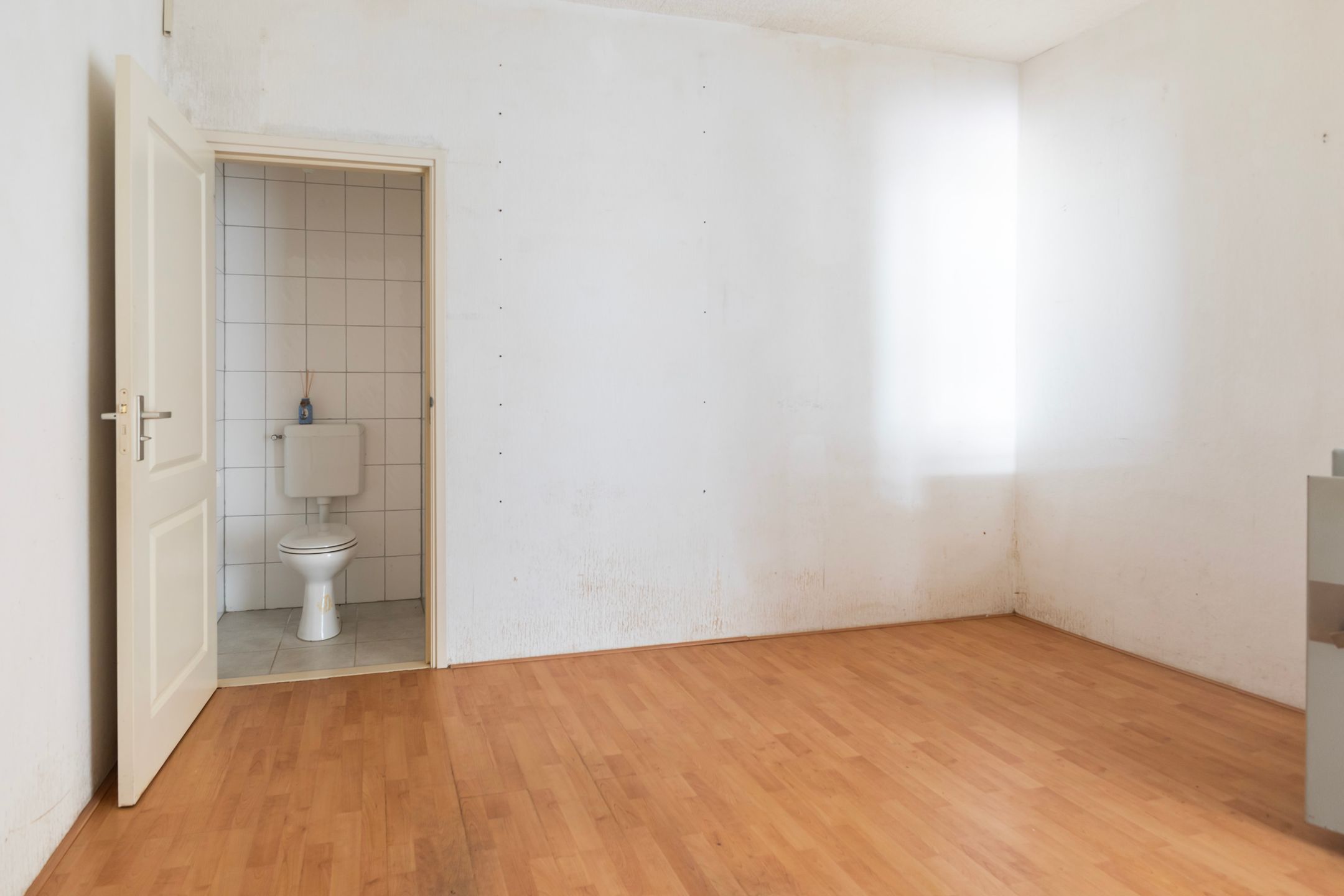 Foto 9 van Rinia van Nautaweg 60