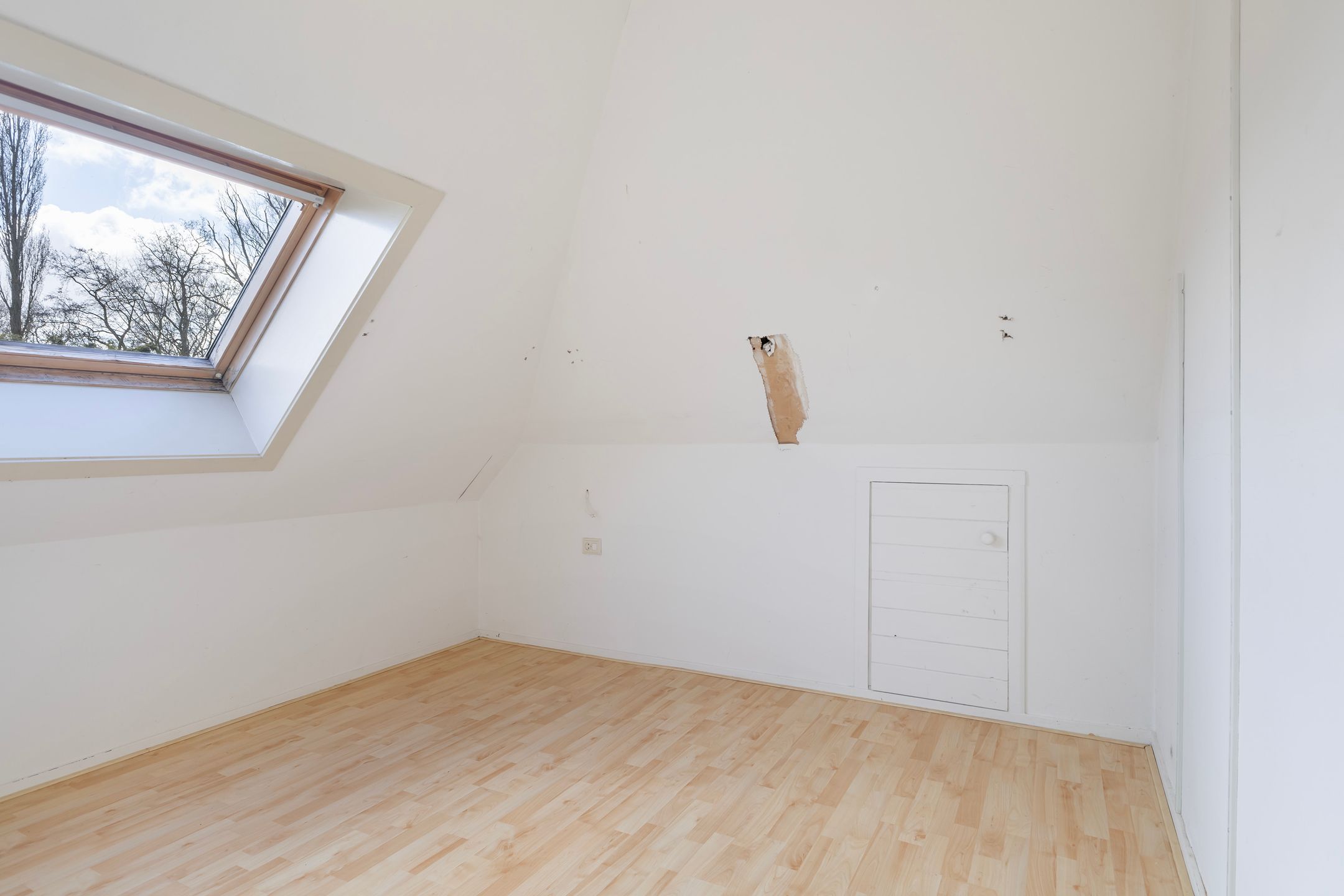 Foto 39 van Rinia van Nautaweg 60