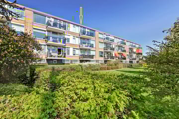 A.M. de Jongstraat thumbnail