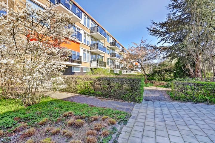 Foto 27 van A.M. de Jongstraat 189