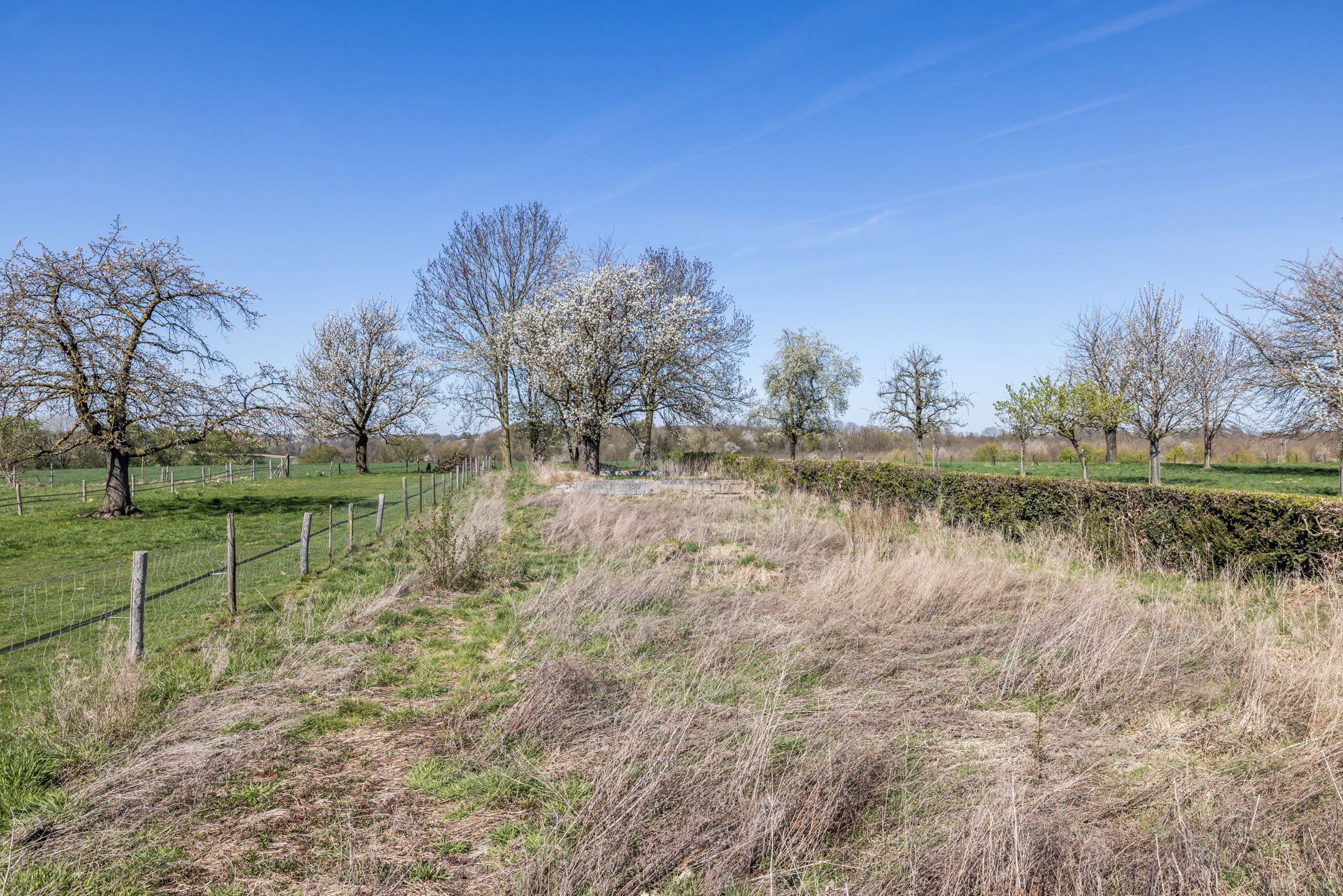 Foto 33 van Dorpsstraat 121