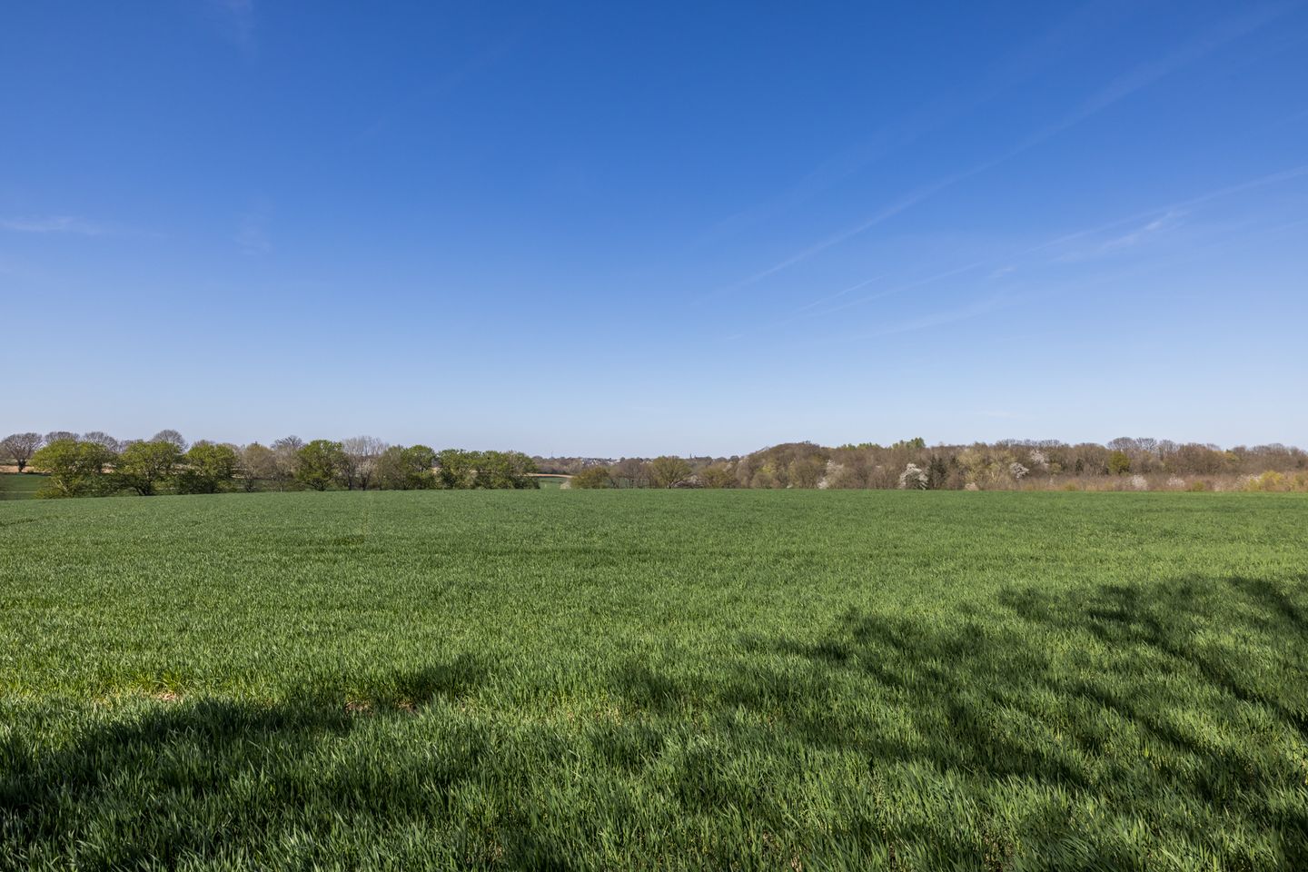 Foto 35 van Dorpsstraat 121