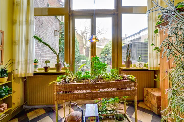 Foto 13 van Singel 453