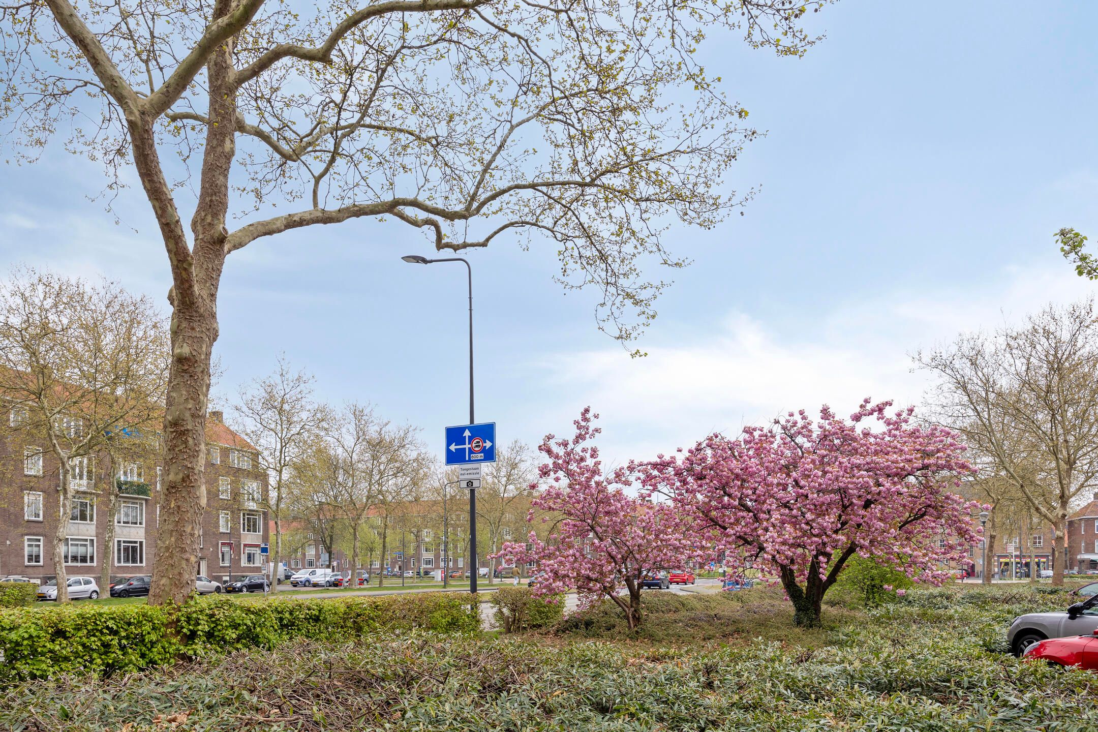 Foto 33 van Aartshertogenlaan 185