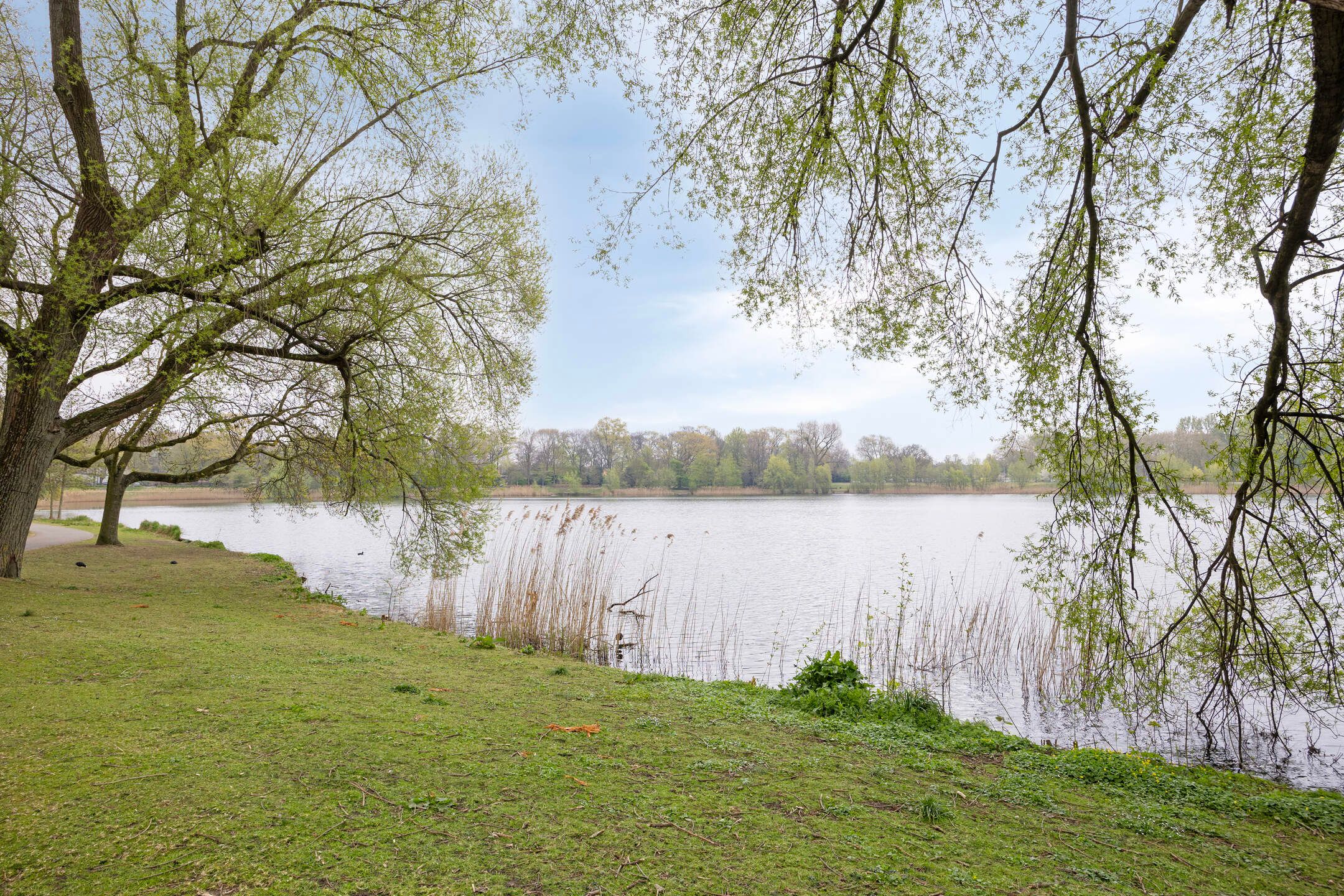 Foto 36 van Aartshertogenlaan 185