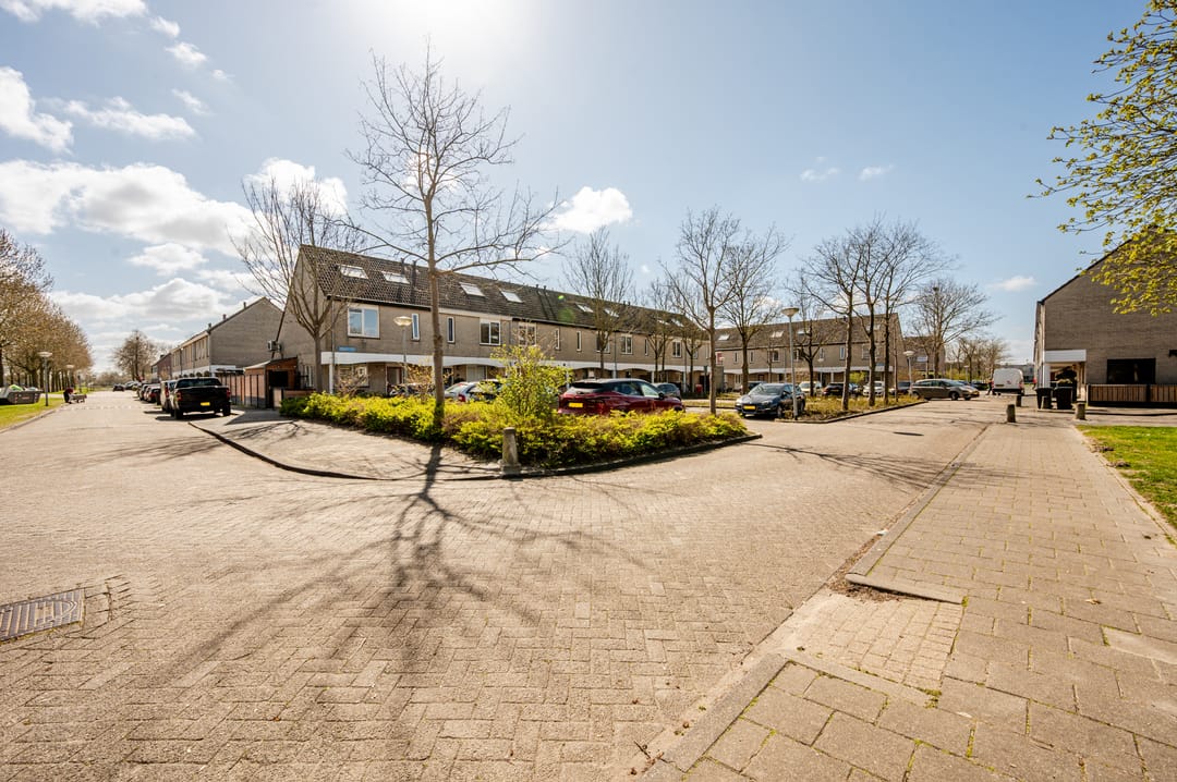 Foto 26 van Blauwe Pan 3