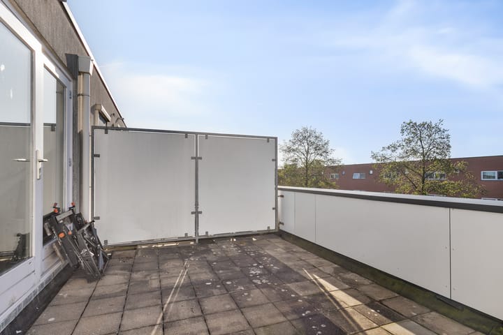 Foto 25 van Sterrenkroos 41