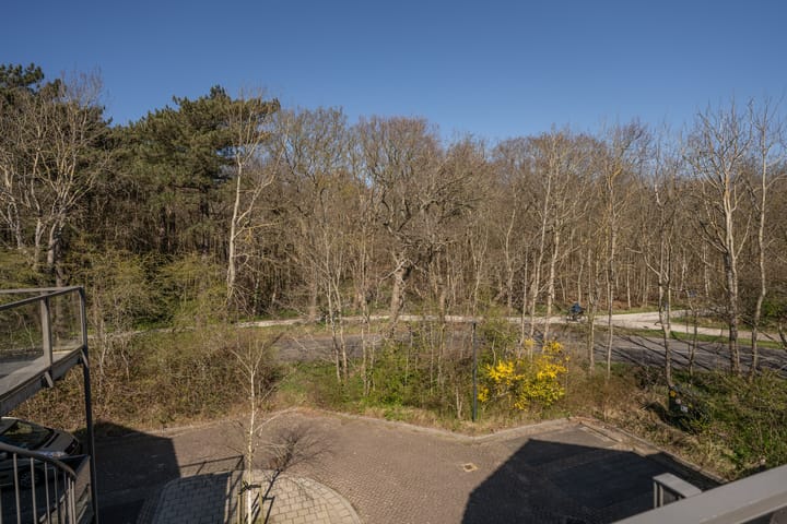 Photo 33 of Californiëweg 417