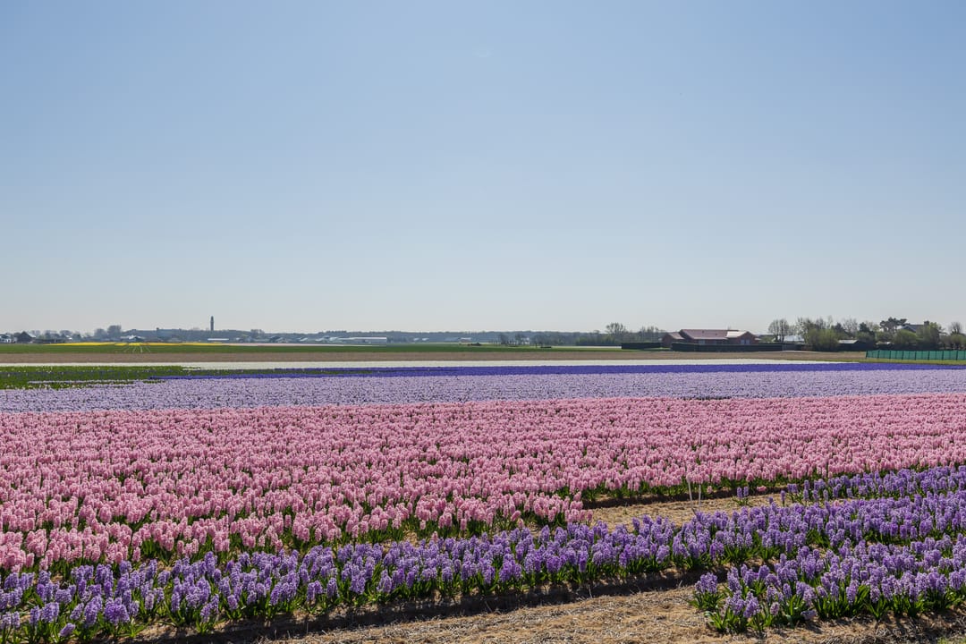 Foto 23 van Bos, Zee en Duin 15