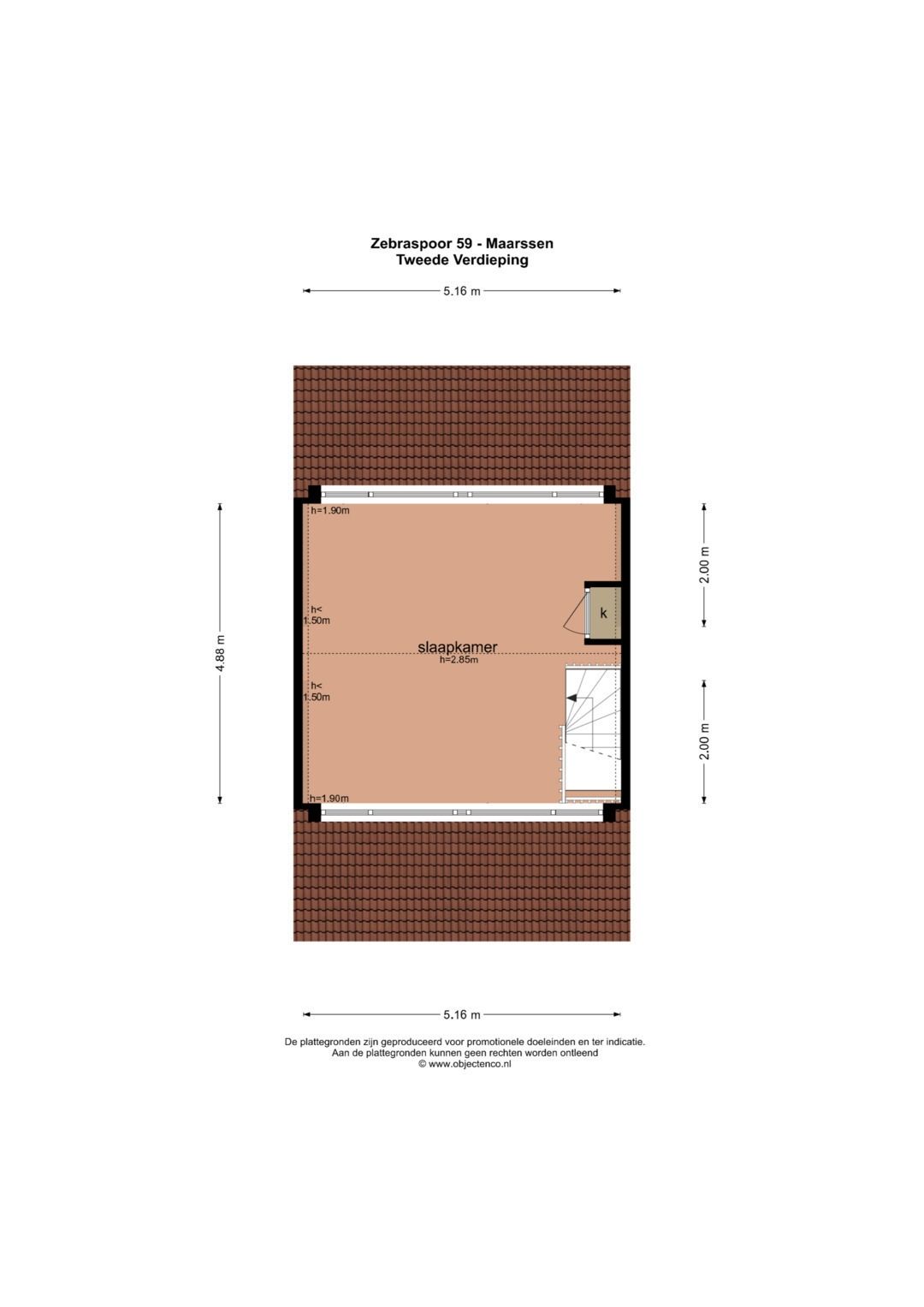 Foto 57 van Zebraspoor 59