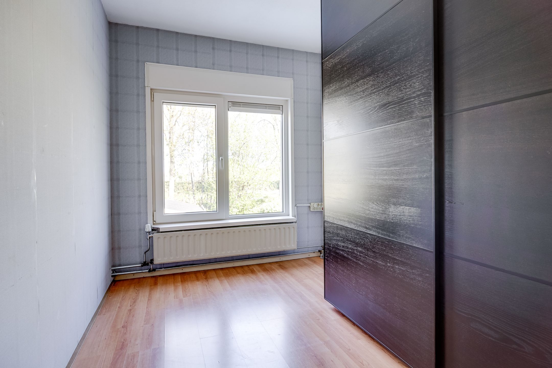 Foto 30 van Zebraspoor 59