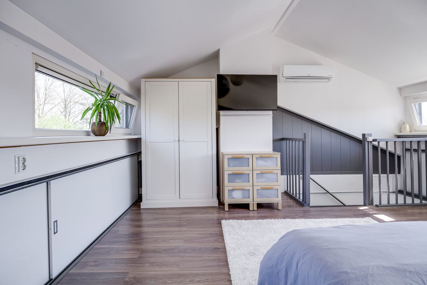 Foto 40 van Zebraspoor 59