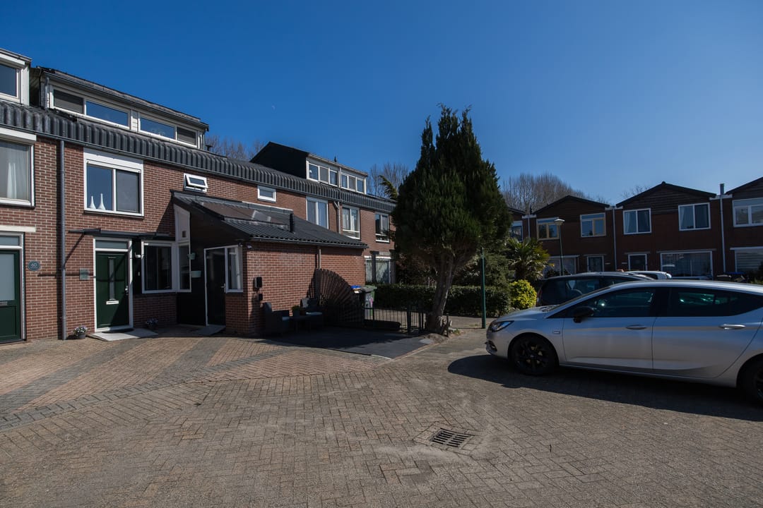 Foto 52 van Zebraspoor 59