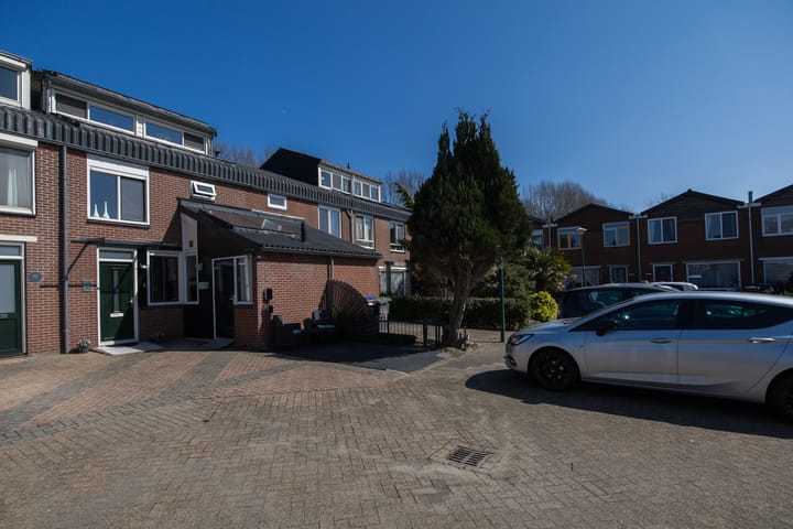 Foto 52 van Zebraspoor 59