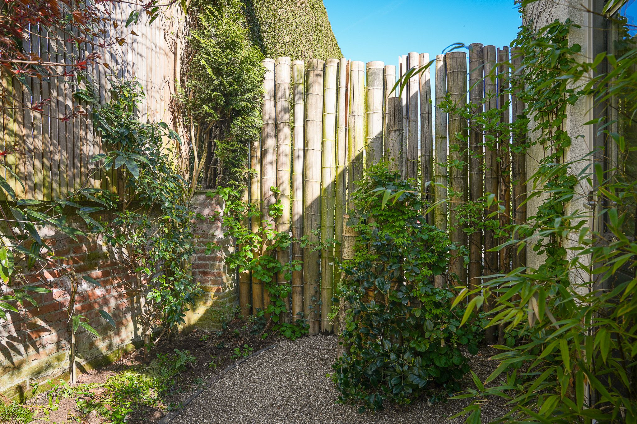 Photo 42 of De Helling 13