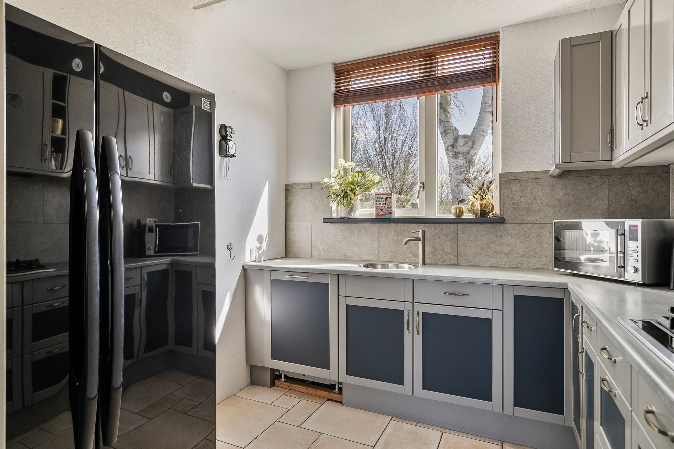 Foto 9 van Groenland 5